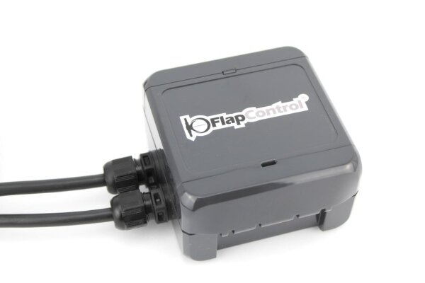 FlapControl BMW X5M F95 exhaust flap control